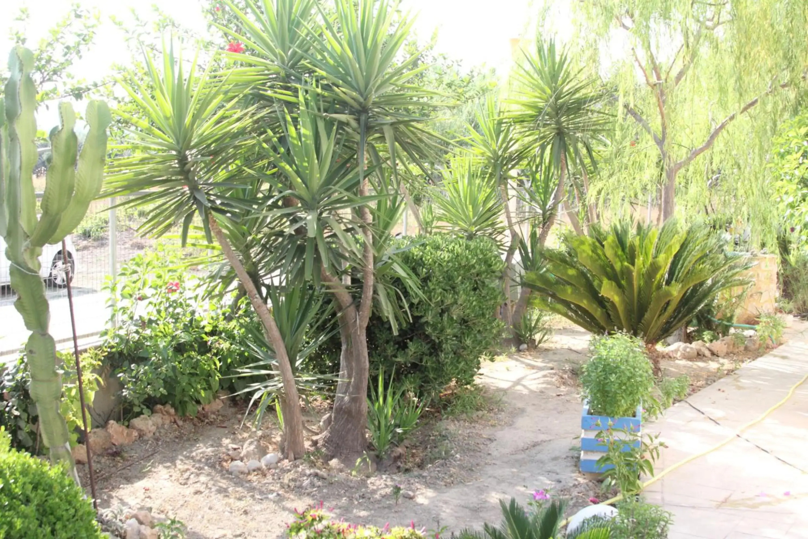 Pauls Garden Studios