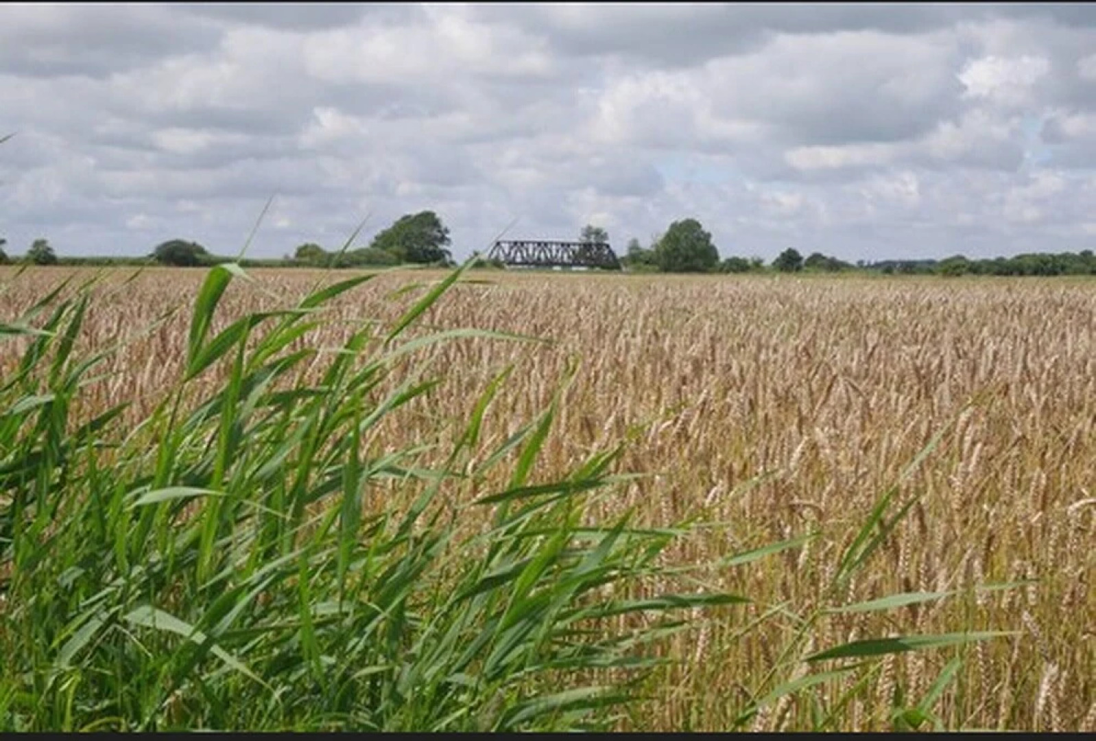 Ferienwohnung Vogelsang