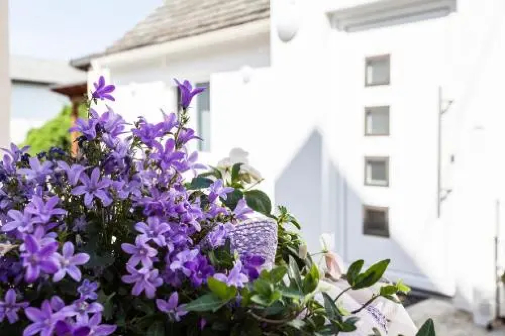 Zehentner - Wein & Feriendomizil