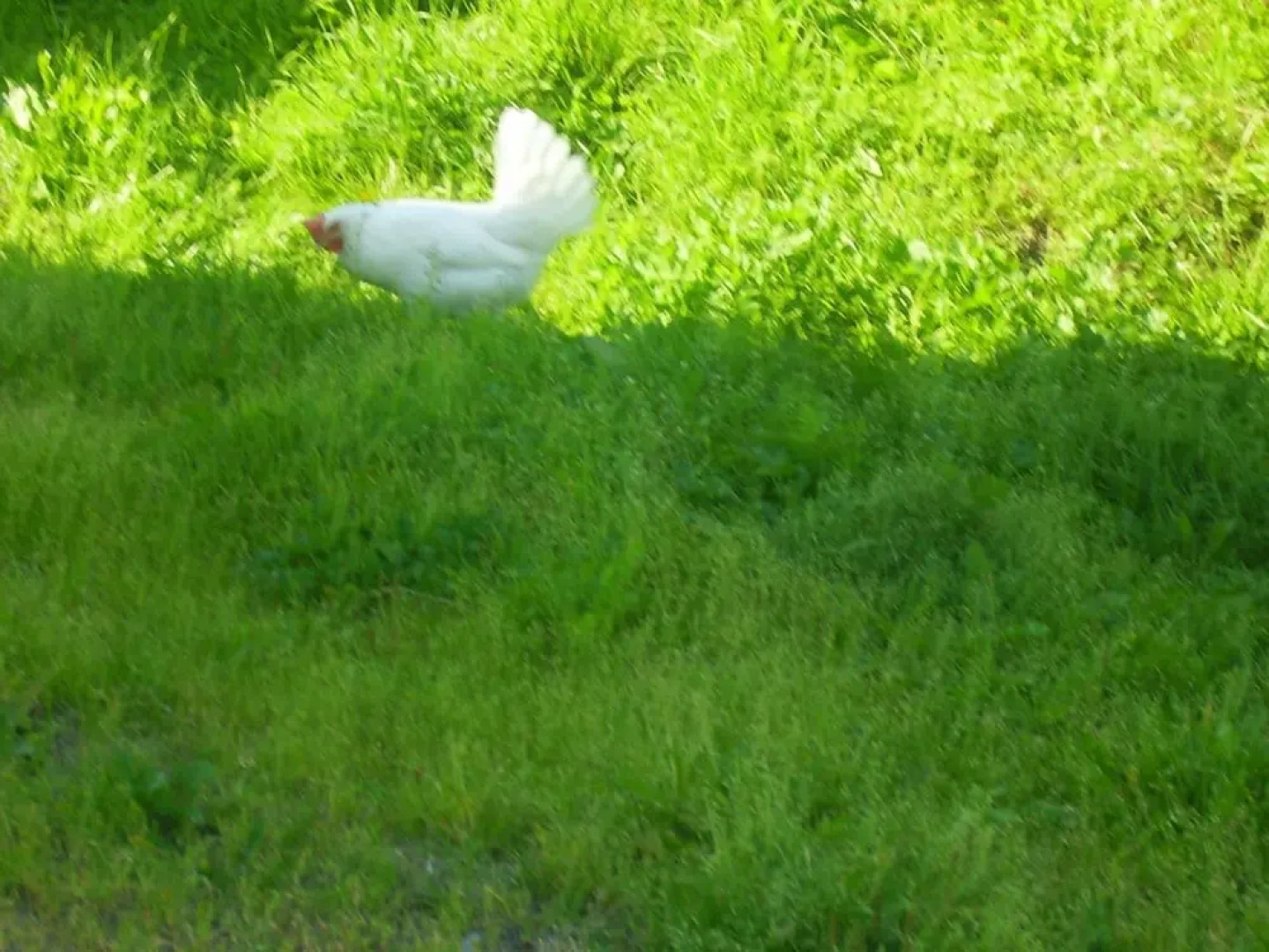 Täljegården Lantgårdshotell