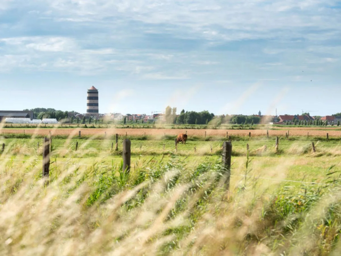 Waterlijn