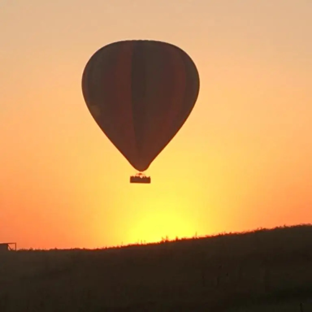 Grapevines Boutique Accommodation