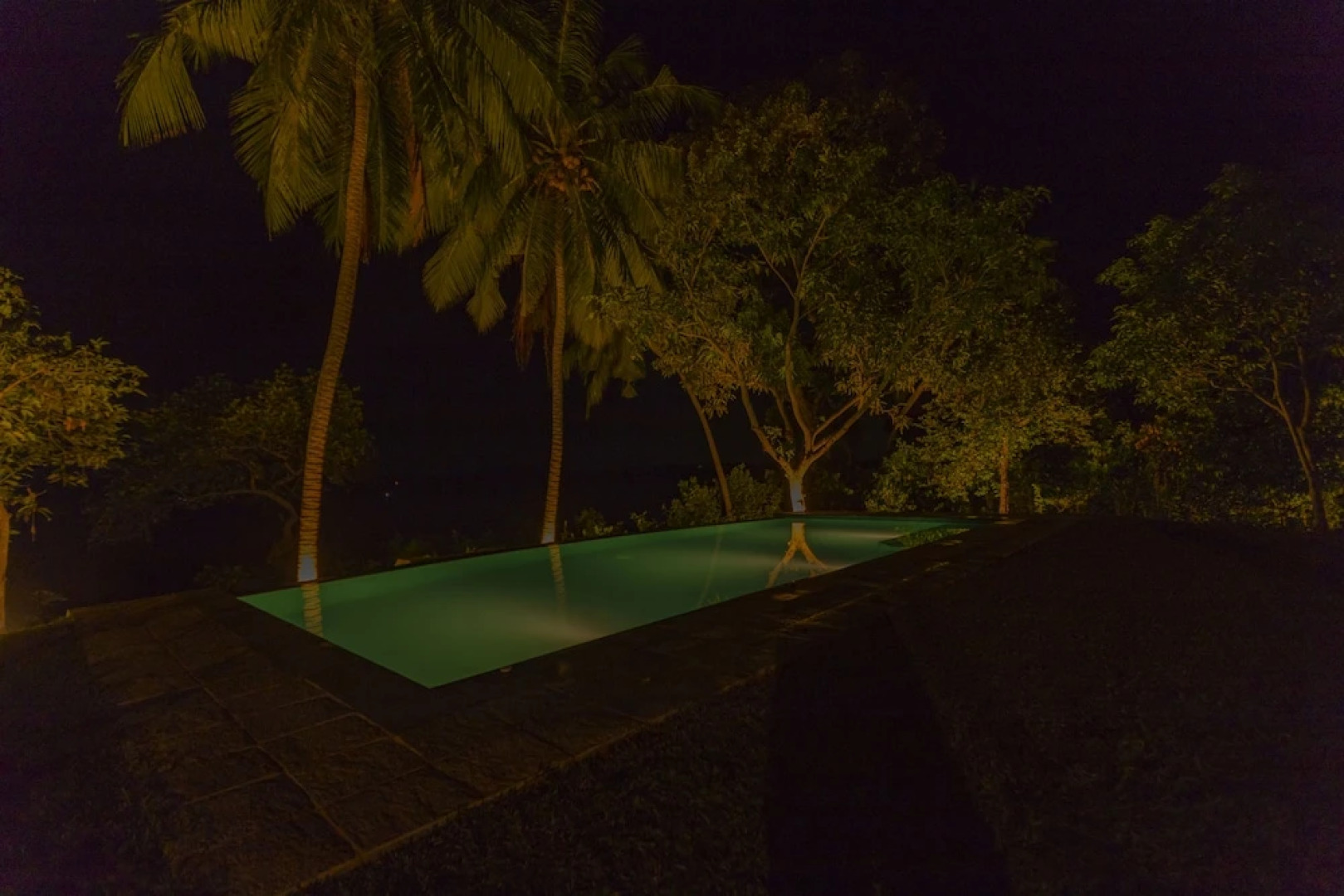 Serendipity Lake - Hikkaduwa