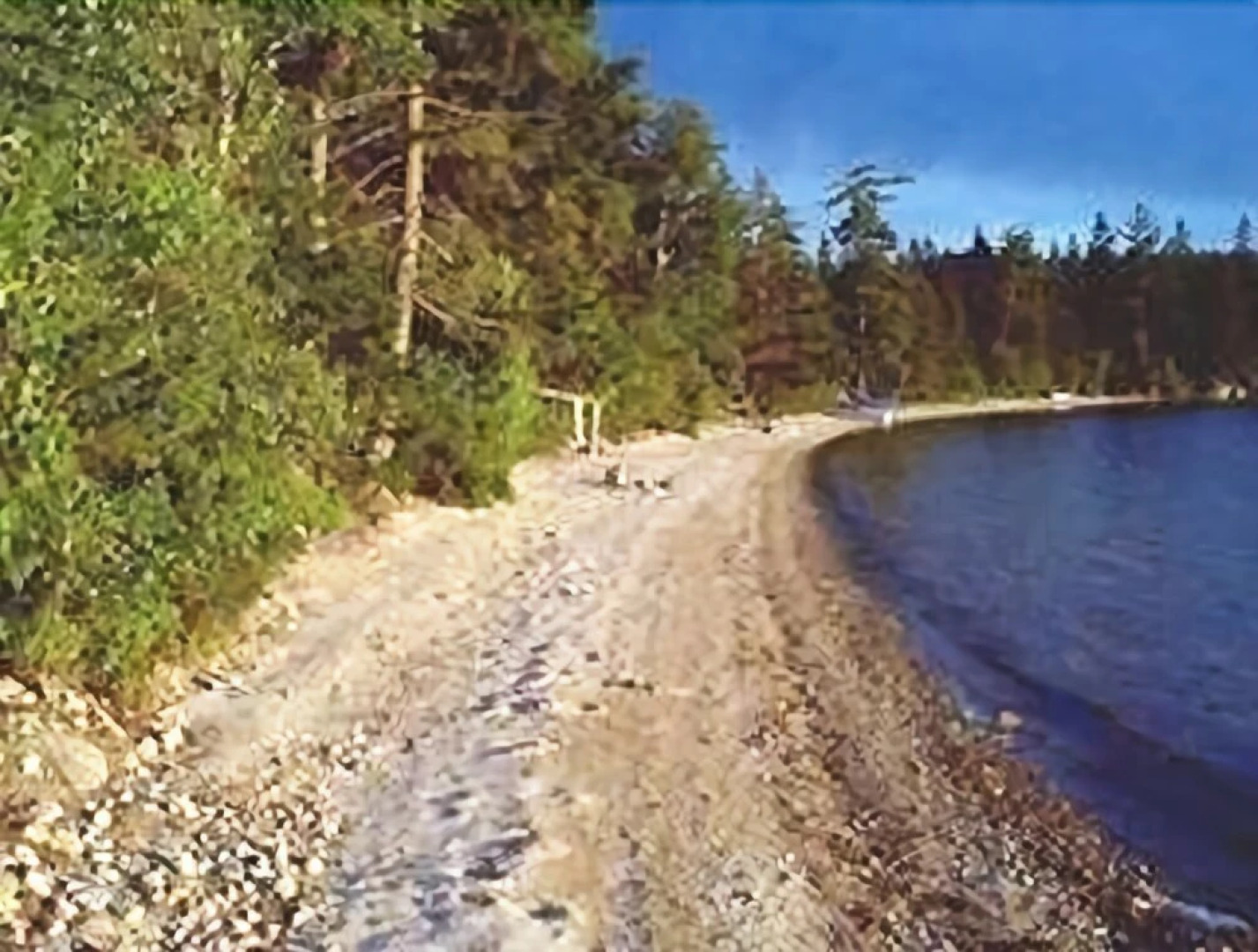 Aspen Cabin Tunk Lake - Three Bedroom Home