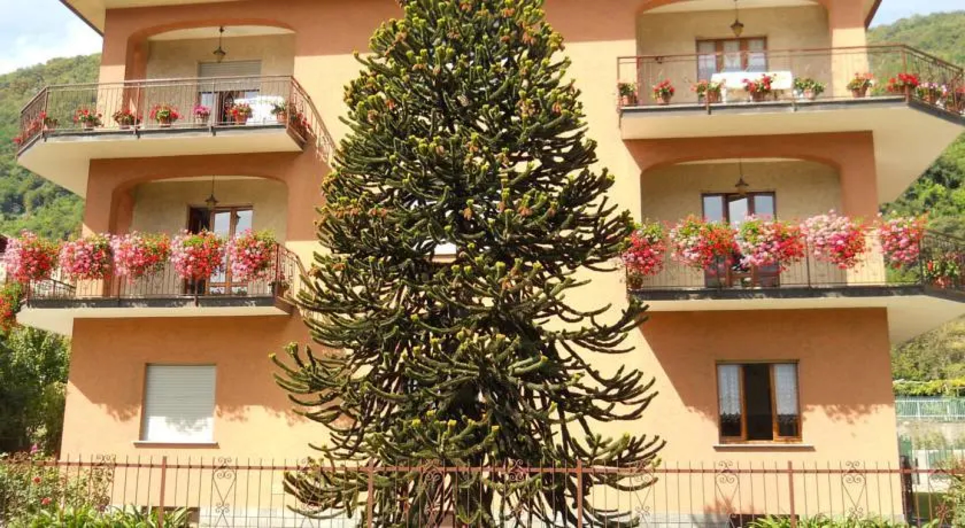 Giardino Fiorito
