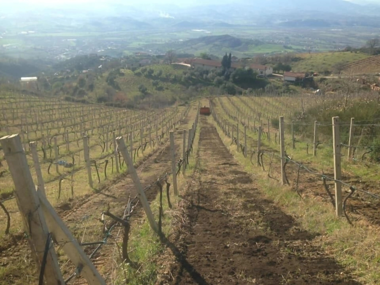 Agriturismo Pingitore