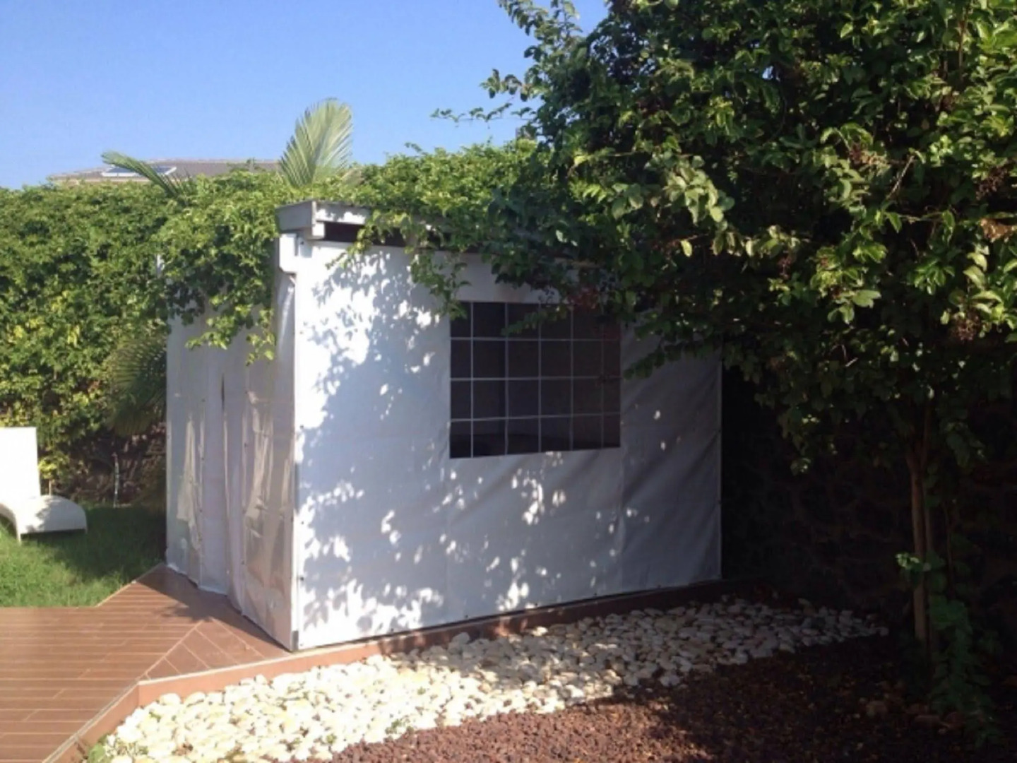 Black and White Holiday