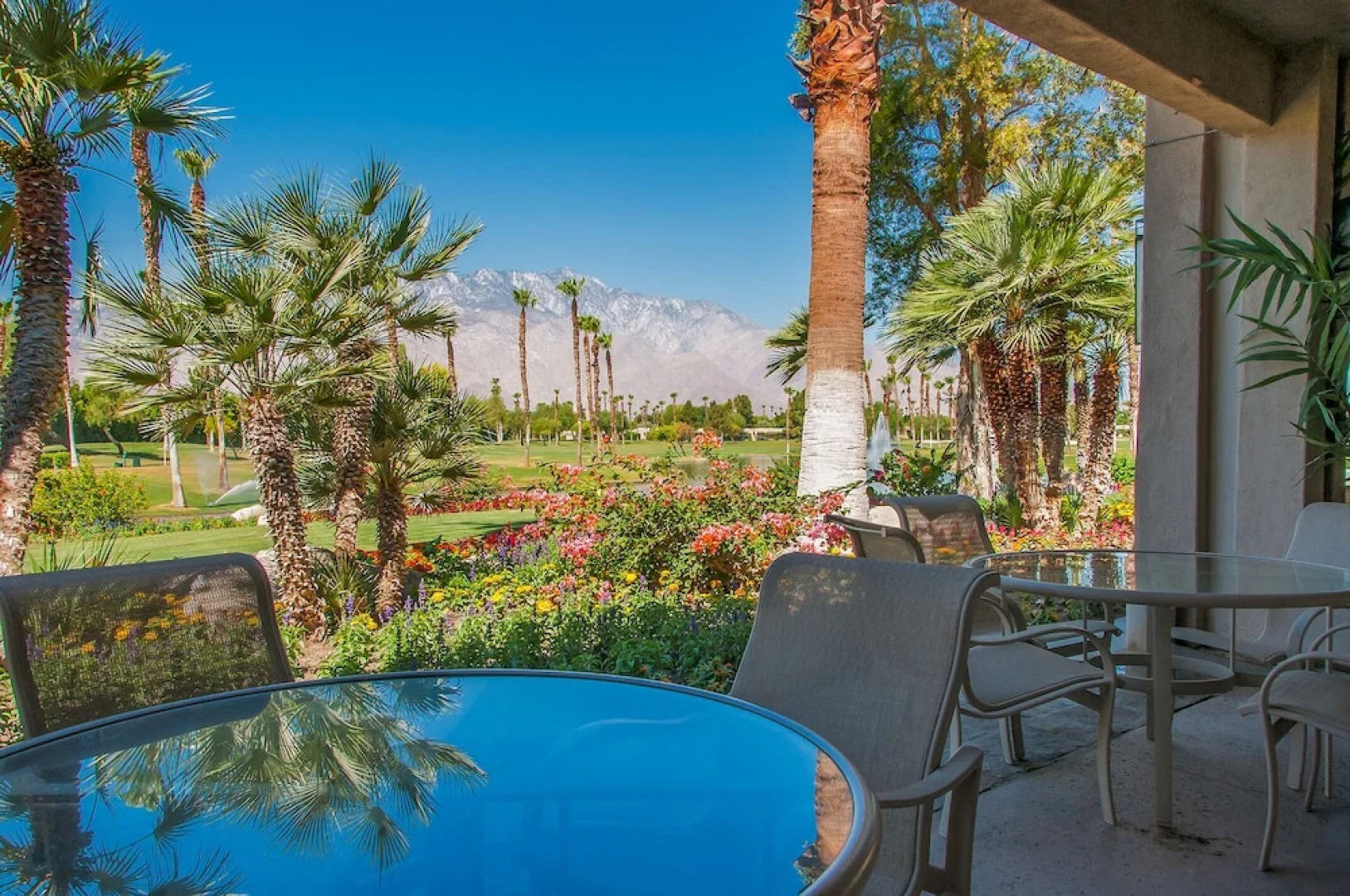 Best Value in Palm Springs for 4 Persons City License146,17751,17753,17754,17755