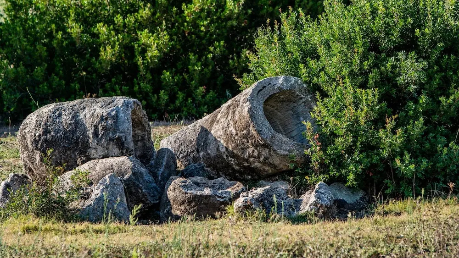 Agriturismo Carrucana