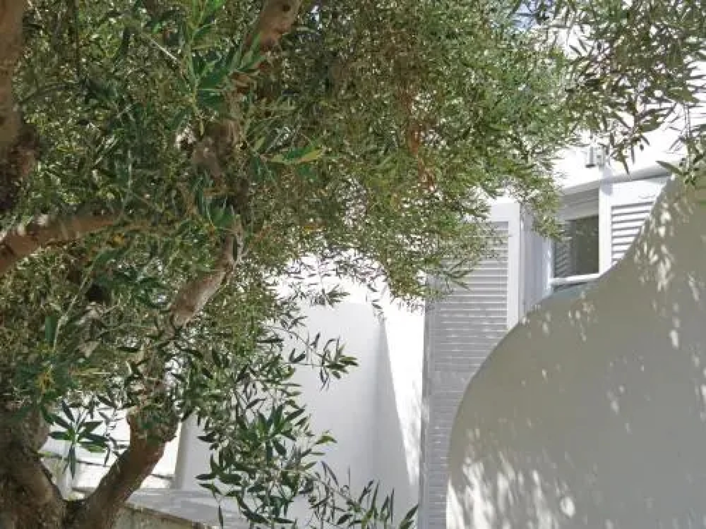 Yiannis Studios