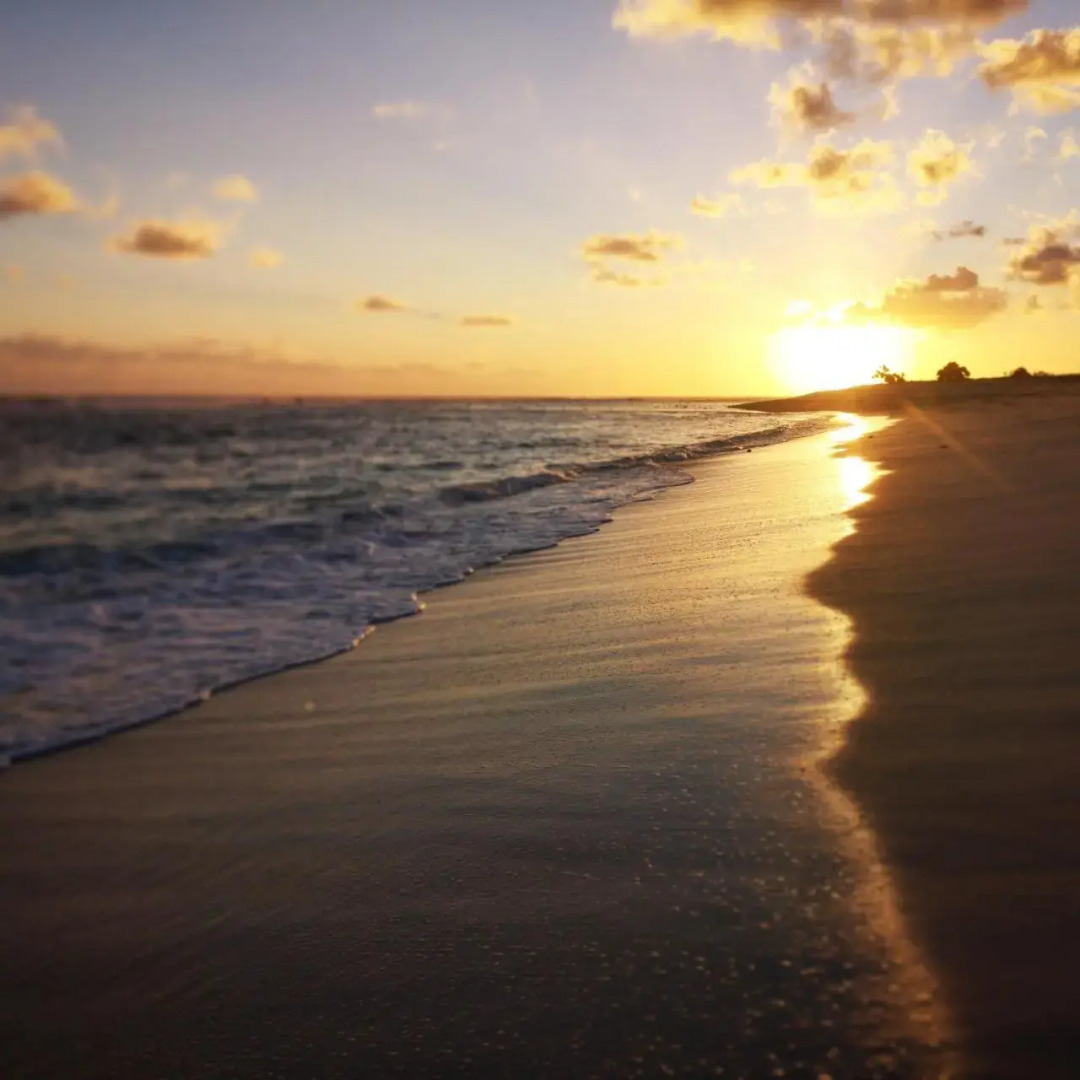 Surf Rote @ Boa Hills Surf House