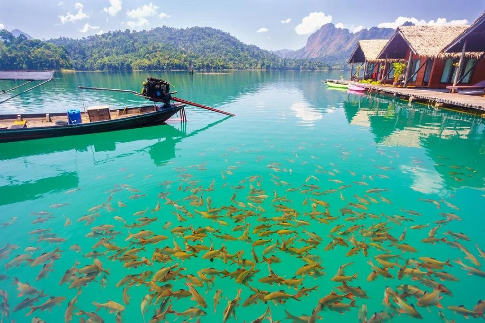 Suratthani Airport Campsite