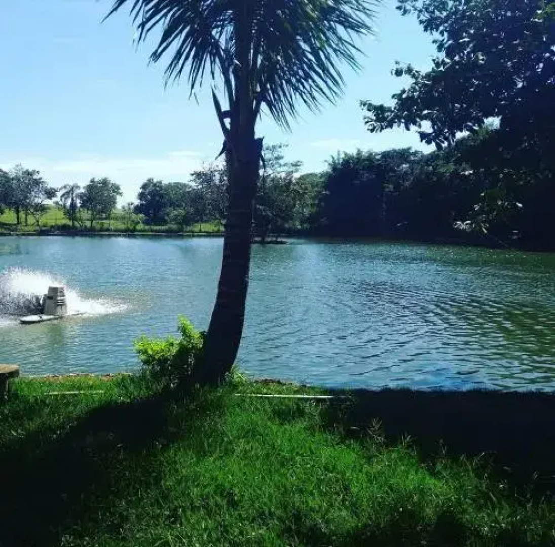 Estancia Montagner