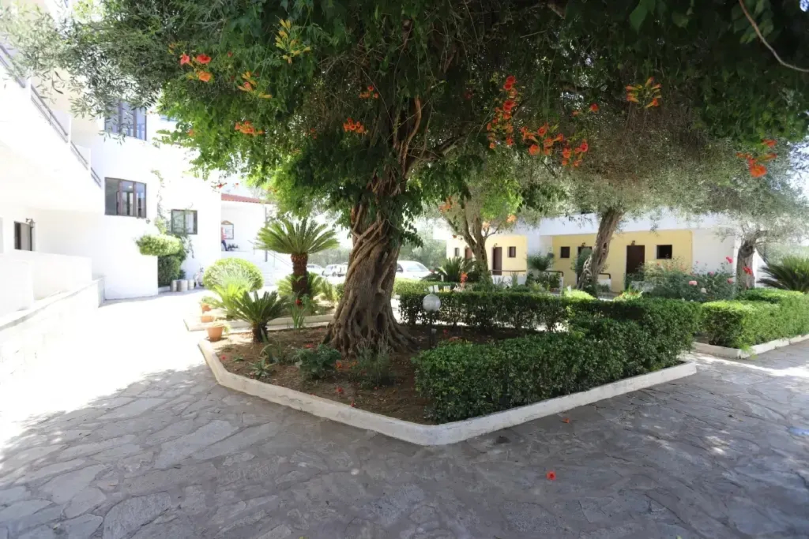 Telemachos Hotel