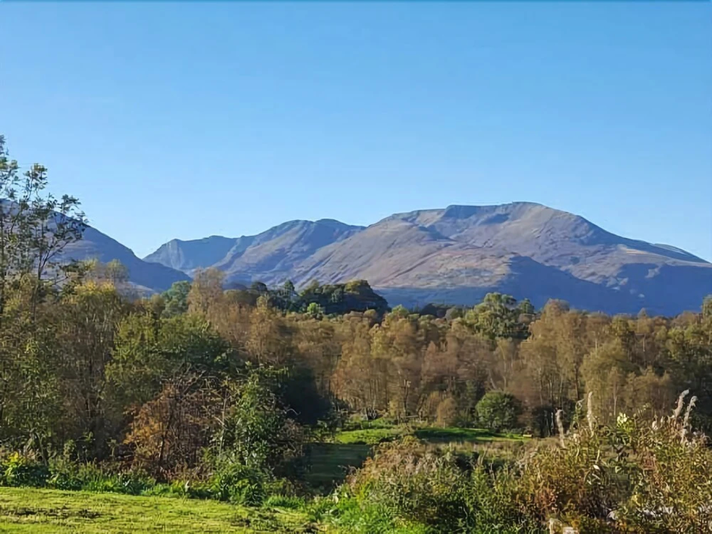 Orion Lodge