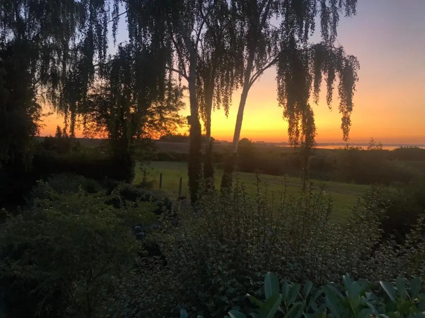 Den gamle Apotekergaard