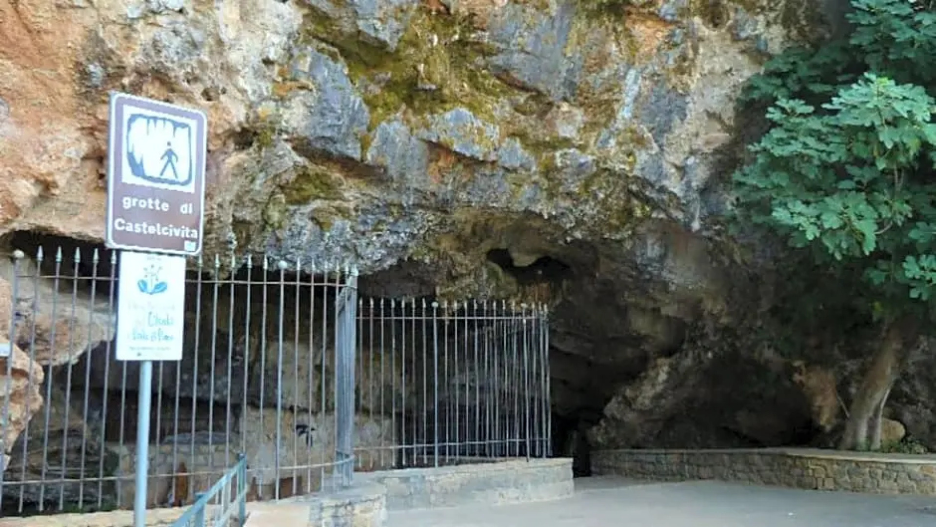 Camelie Apartment by Agriturismo Al Gallo Verde