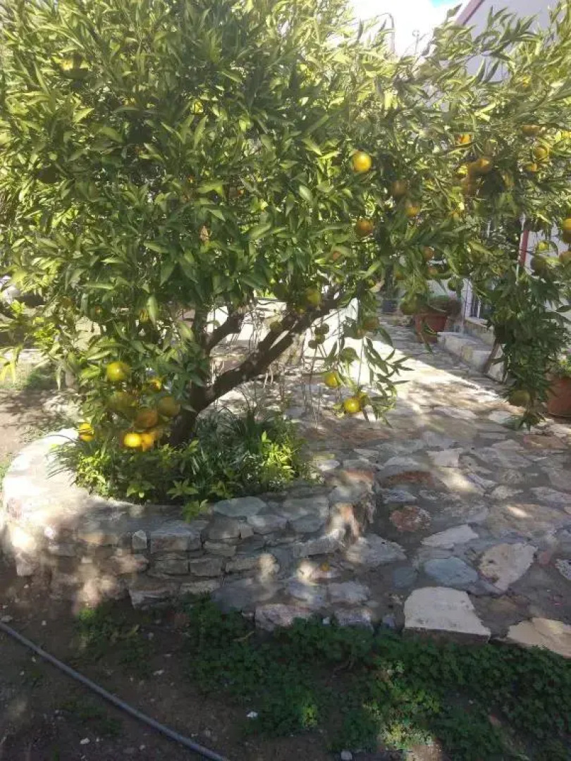 Private country house