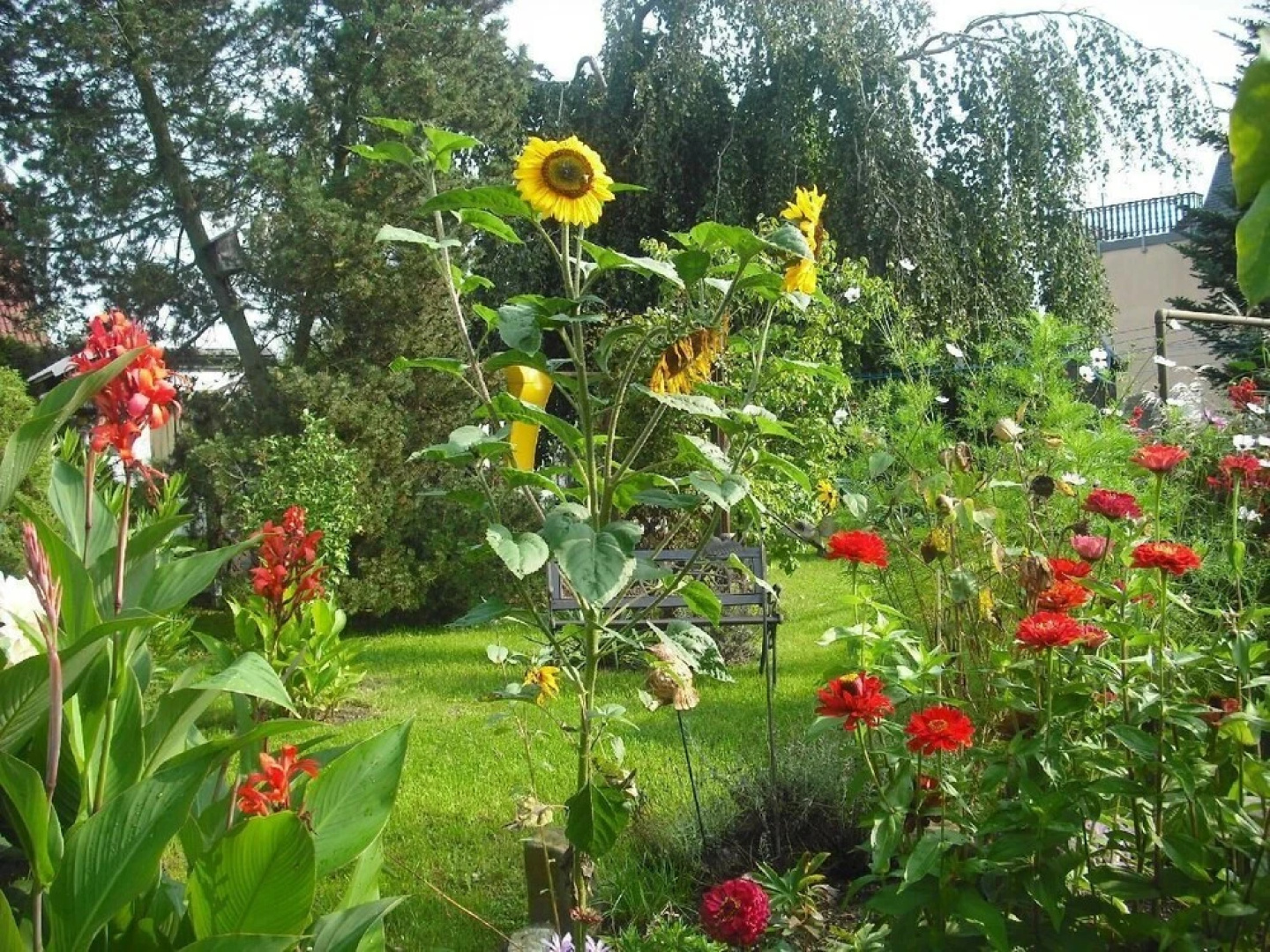 Ferienwohnung-der-Familie-Thierse