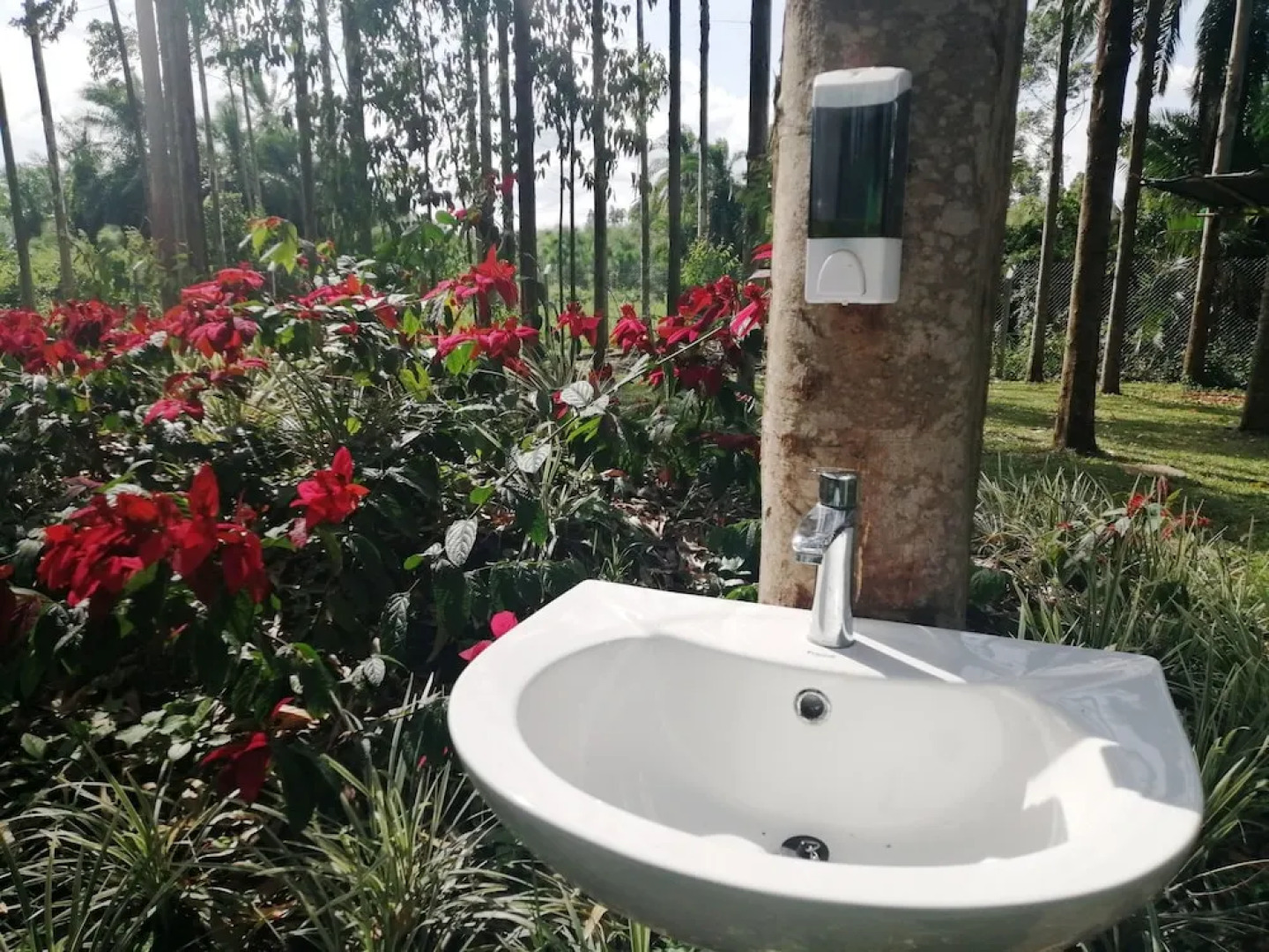 Murchison Backpackers