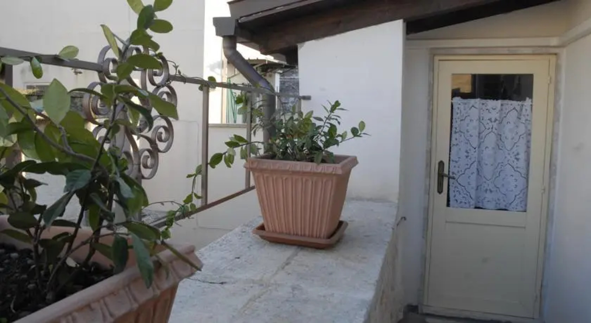 CaBaiino