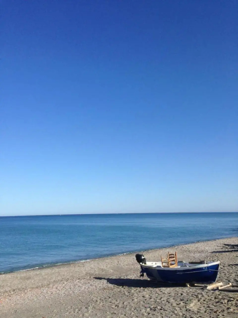 Venetico Il Gatto E La Volpe 2