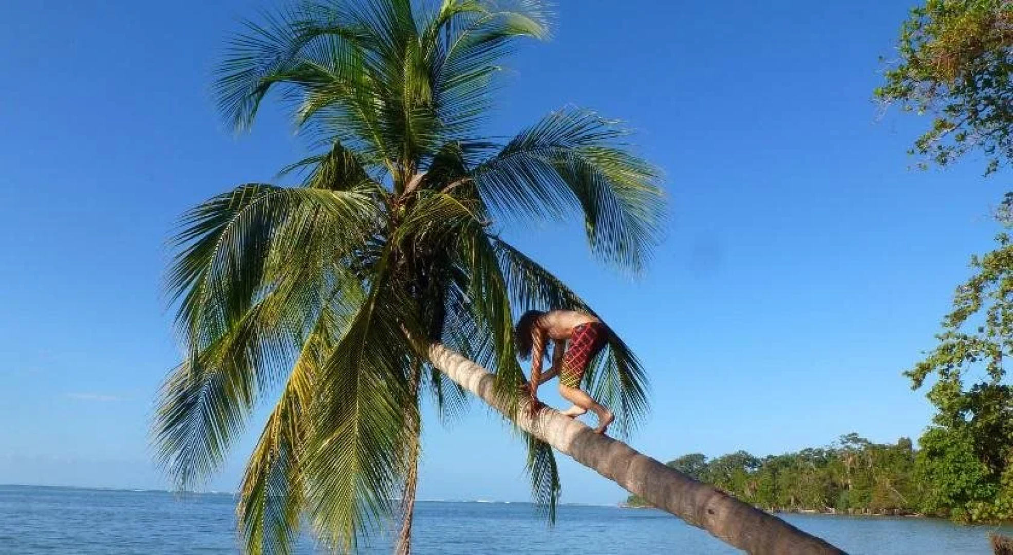 La Costa de Papito