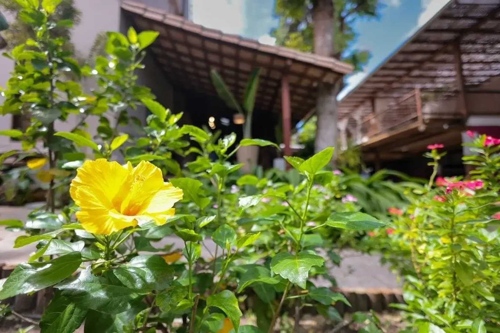 Hotel Pousada Coqueiros