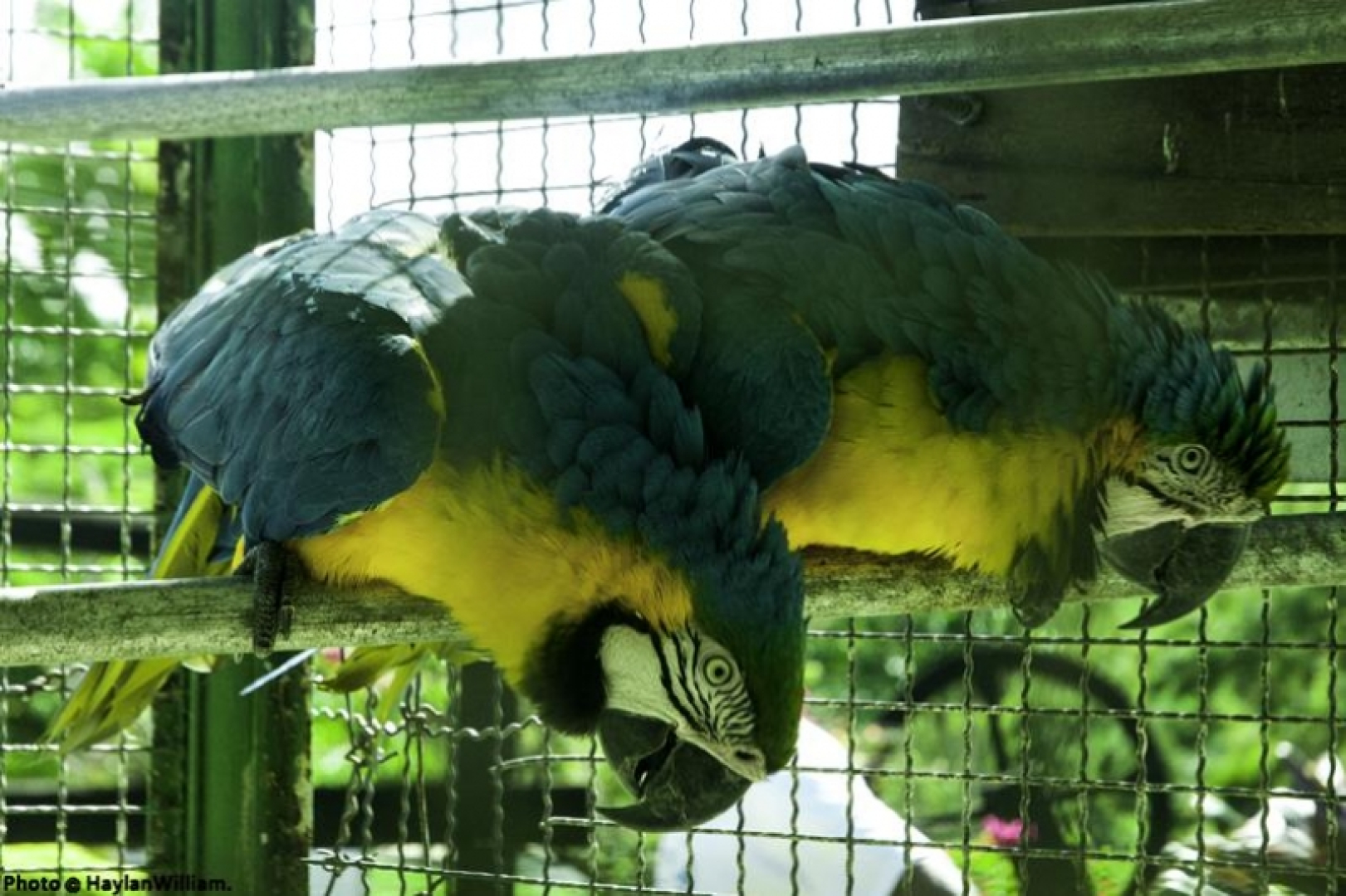 Hotel Fazenda Céu Aberto