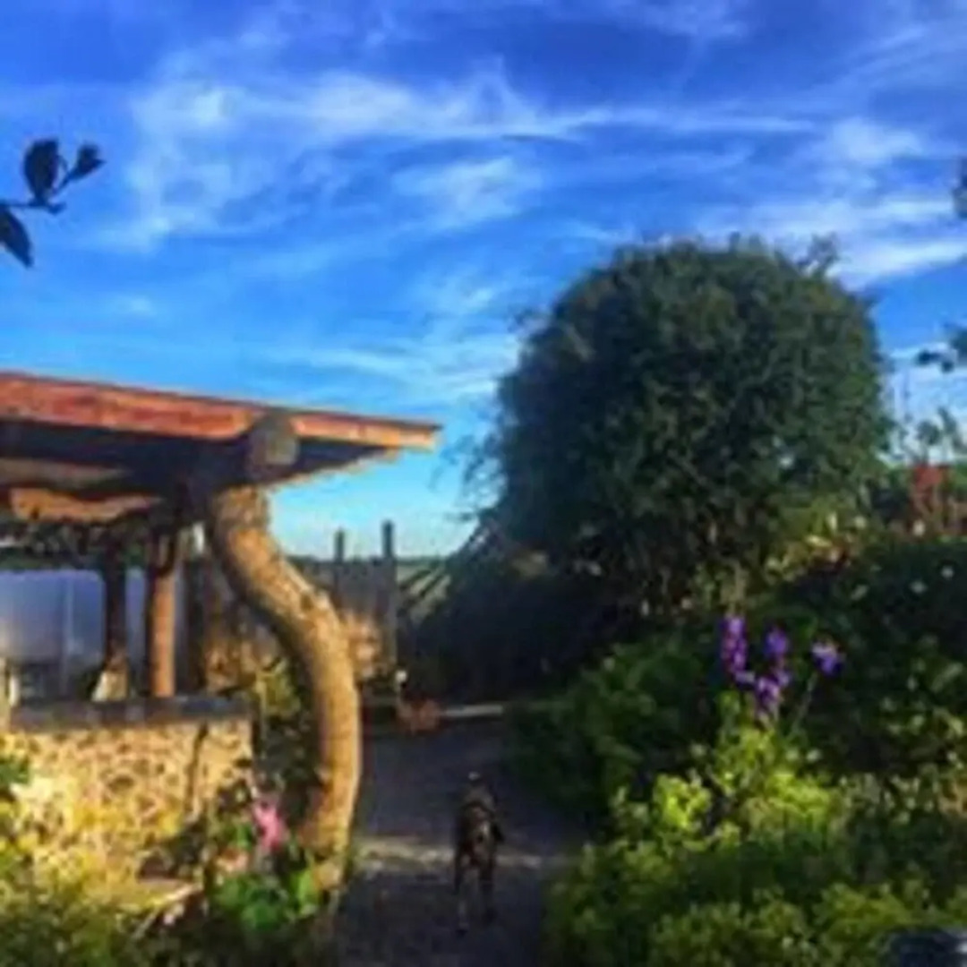 Woody's Cosy Winter Glamping