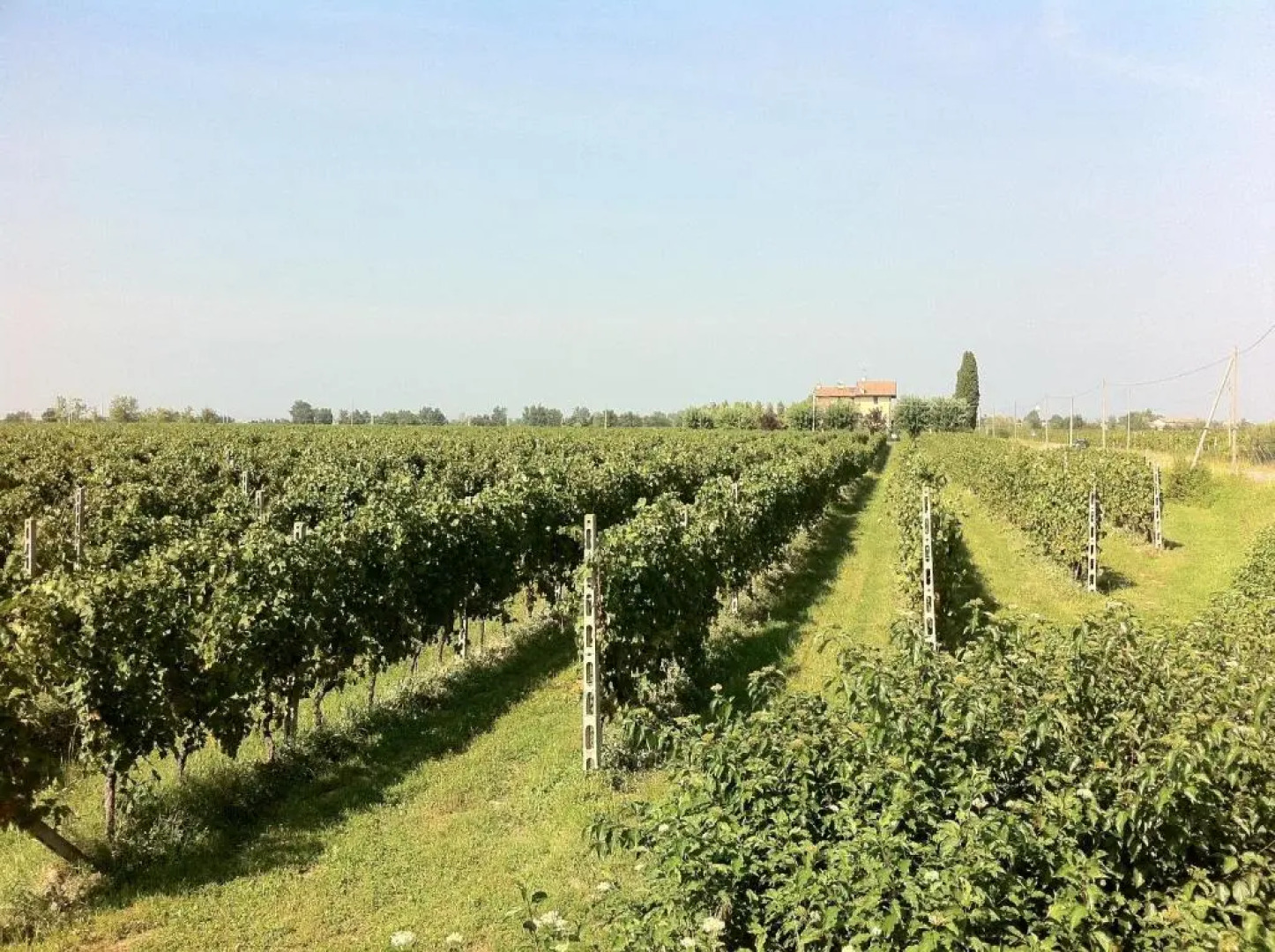 CASCINA TABACHERA x10 Vineyard House - GARDA LAKE