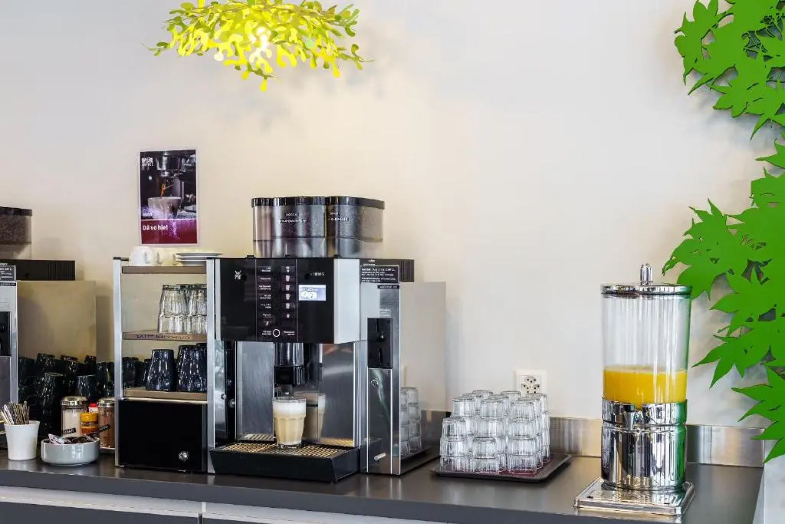 Backpackers Villa Sonnenhof - Hostel