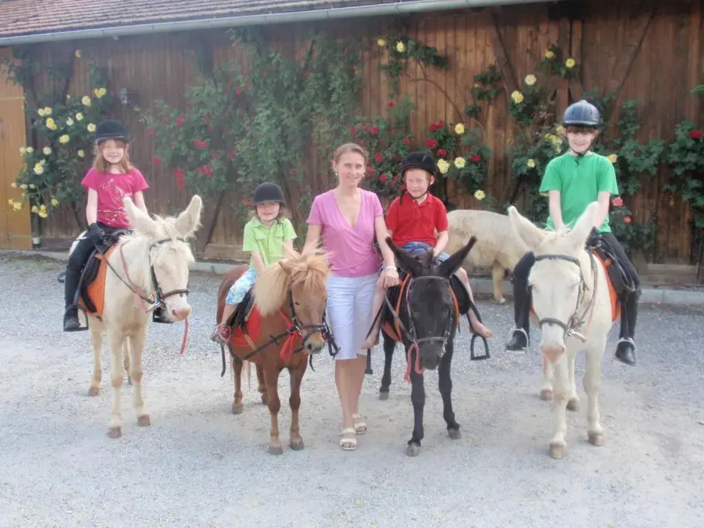 Wirtshaus Nattererboden