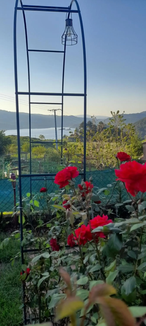Villa-Blas