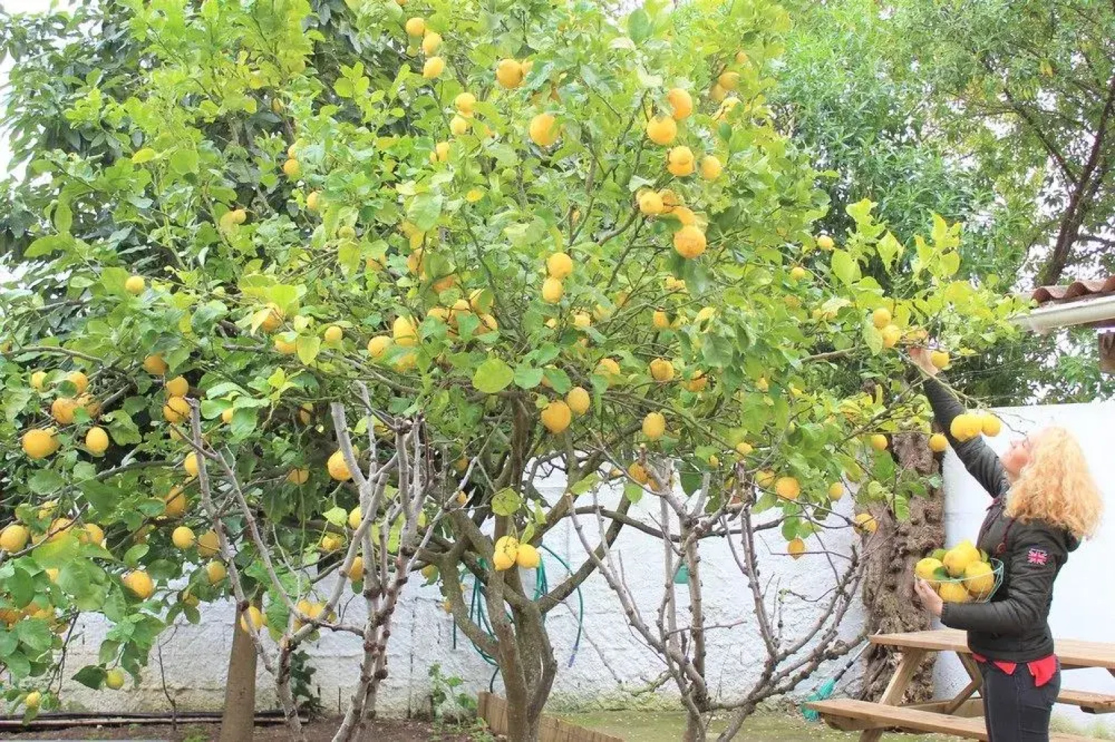 Byseacle - Lisbon Bike Surf Camp