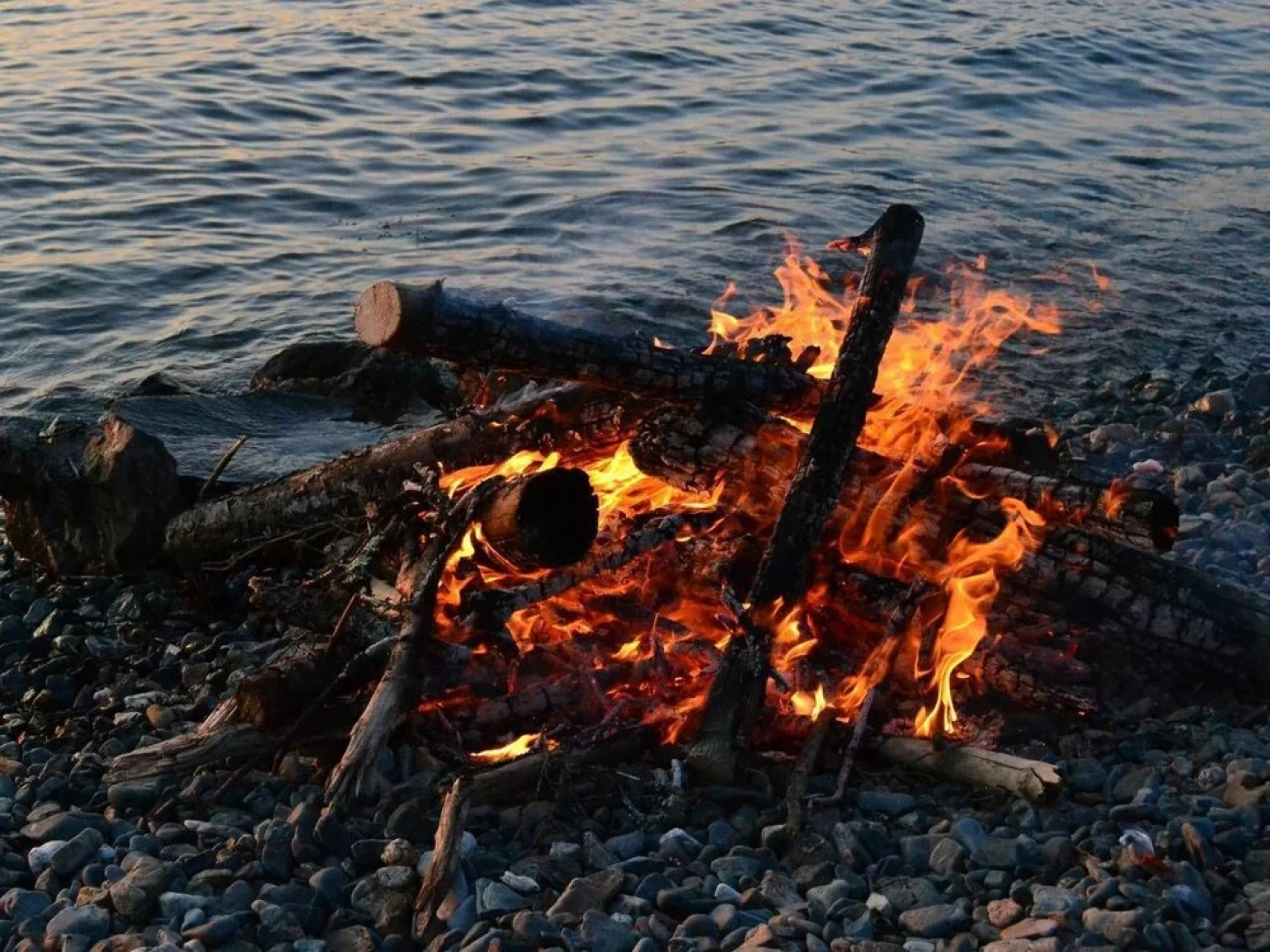 Tentrr - Medomak River Farm