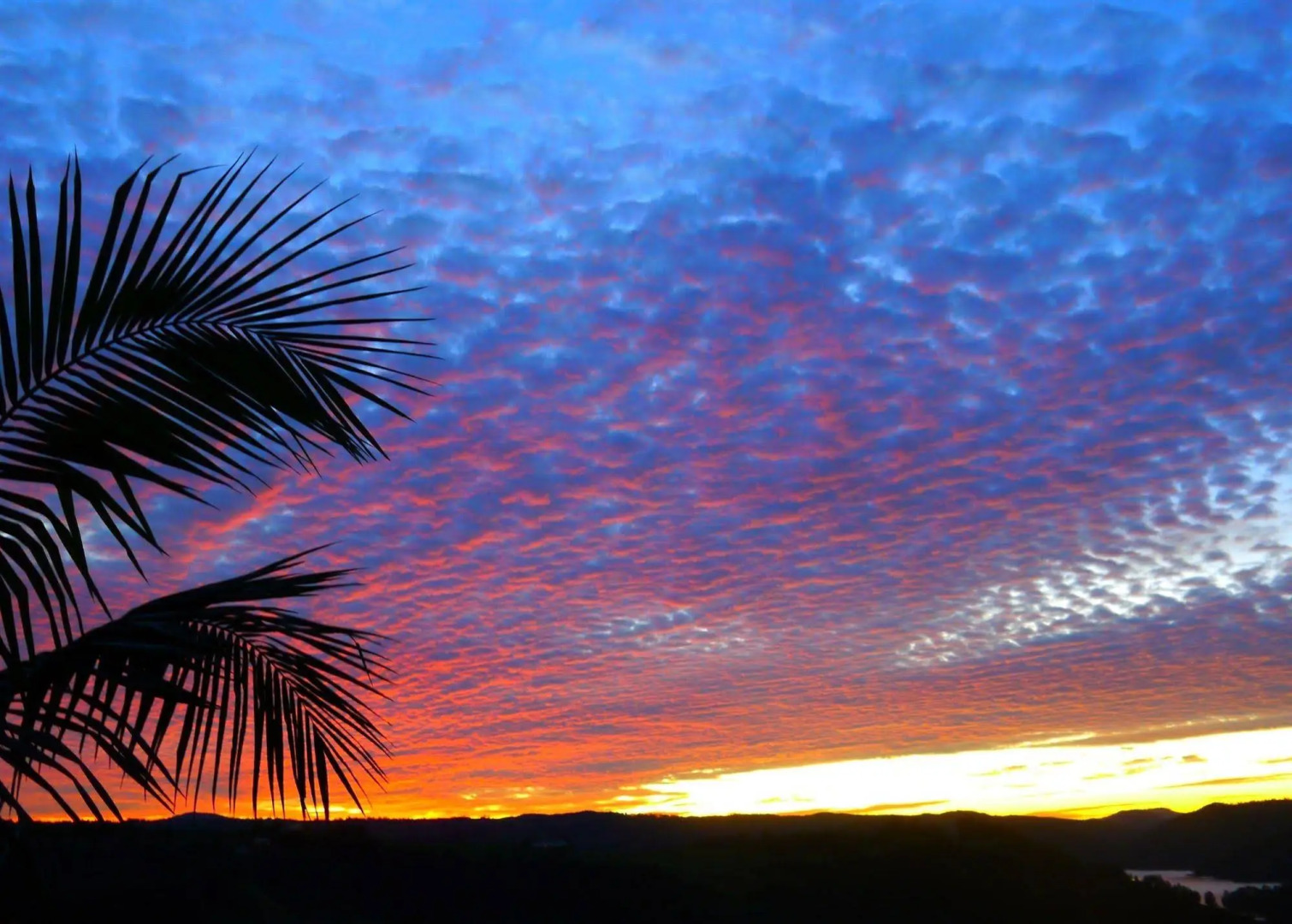 Lillypilly's Cottages & Day Spa