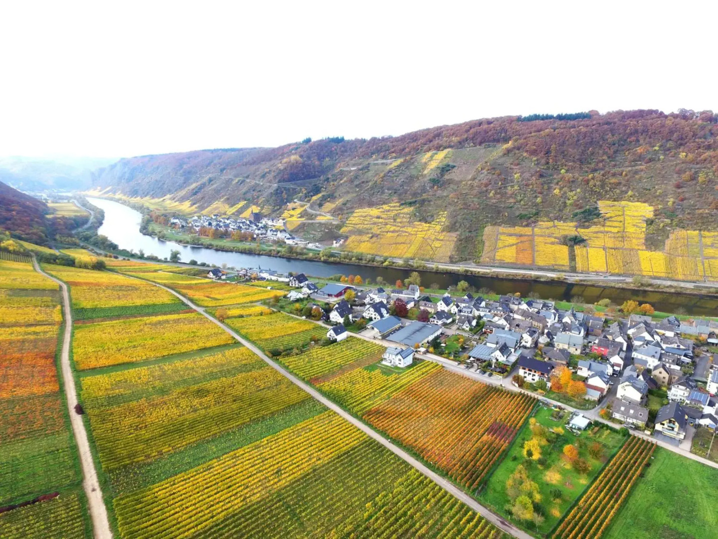 Ferienwohnungen Georg Andre Söhne