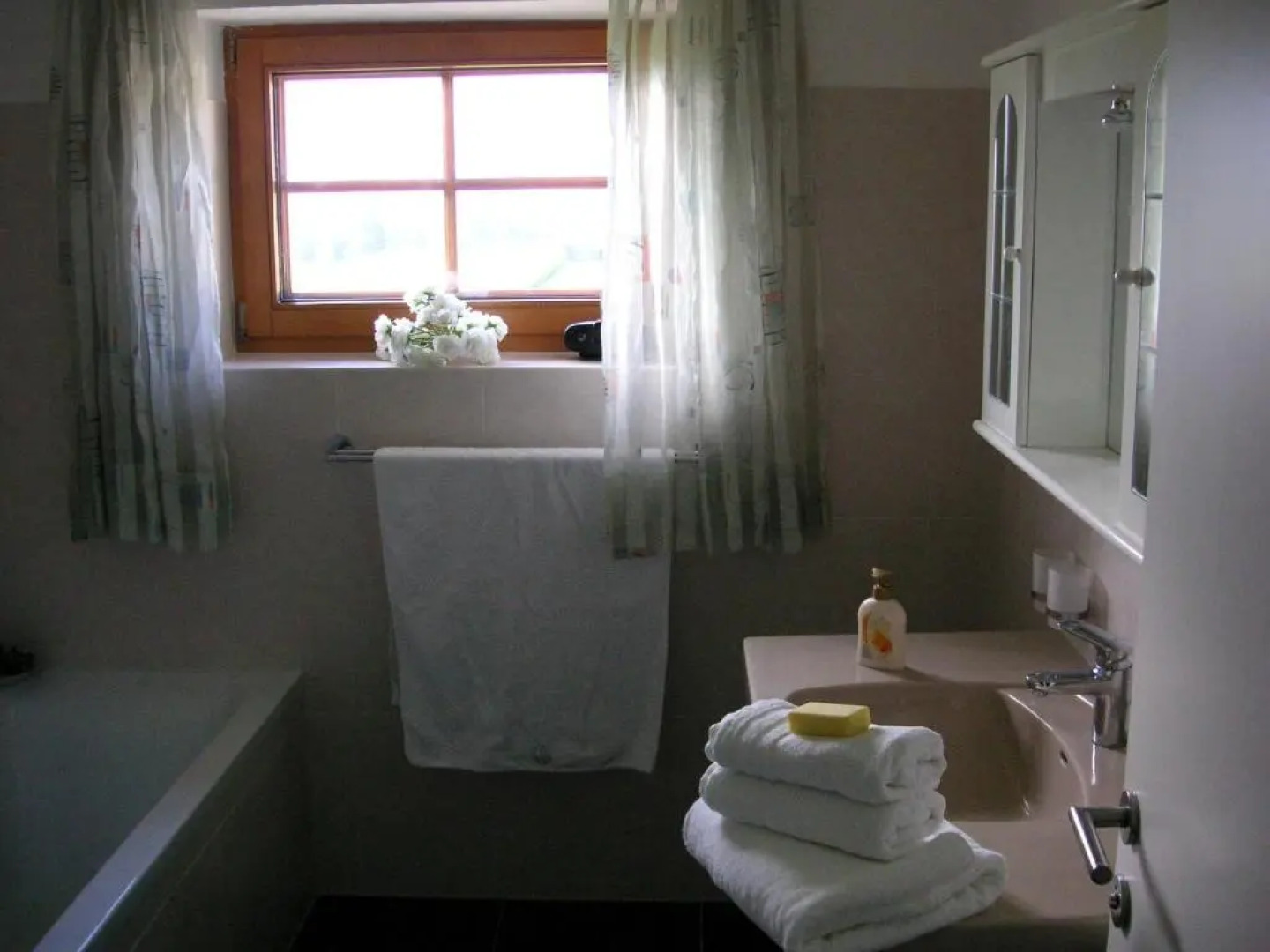 Apartment Nockspitze