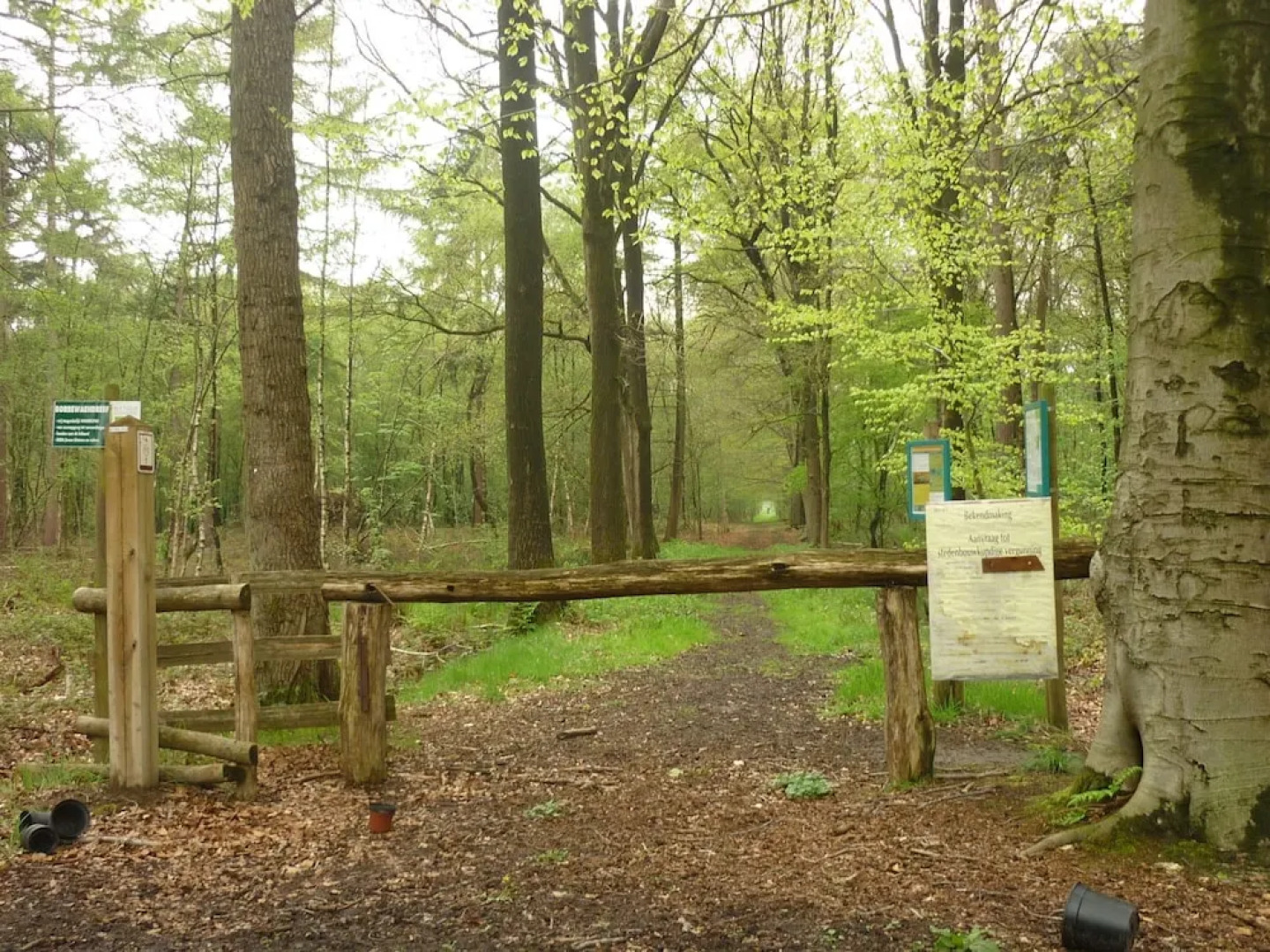 Quiet Cottage near Woods