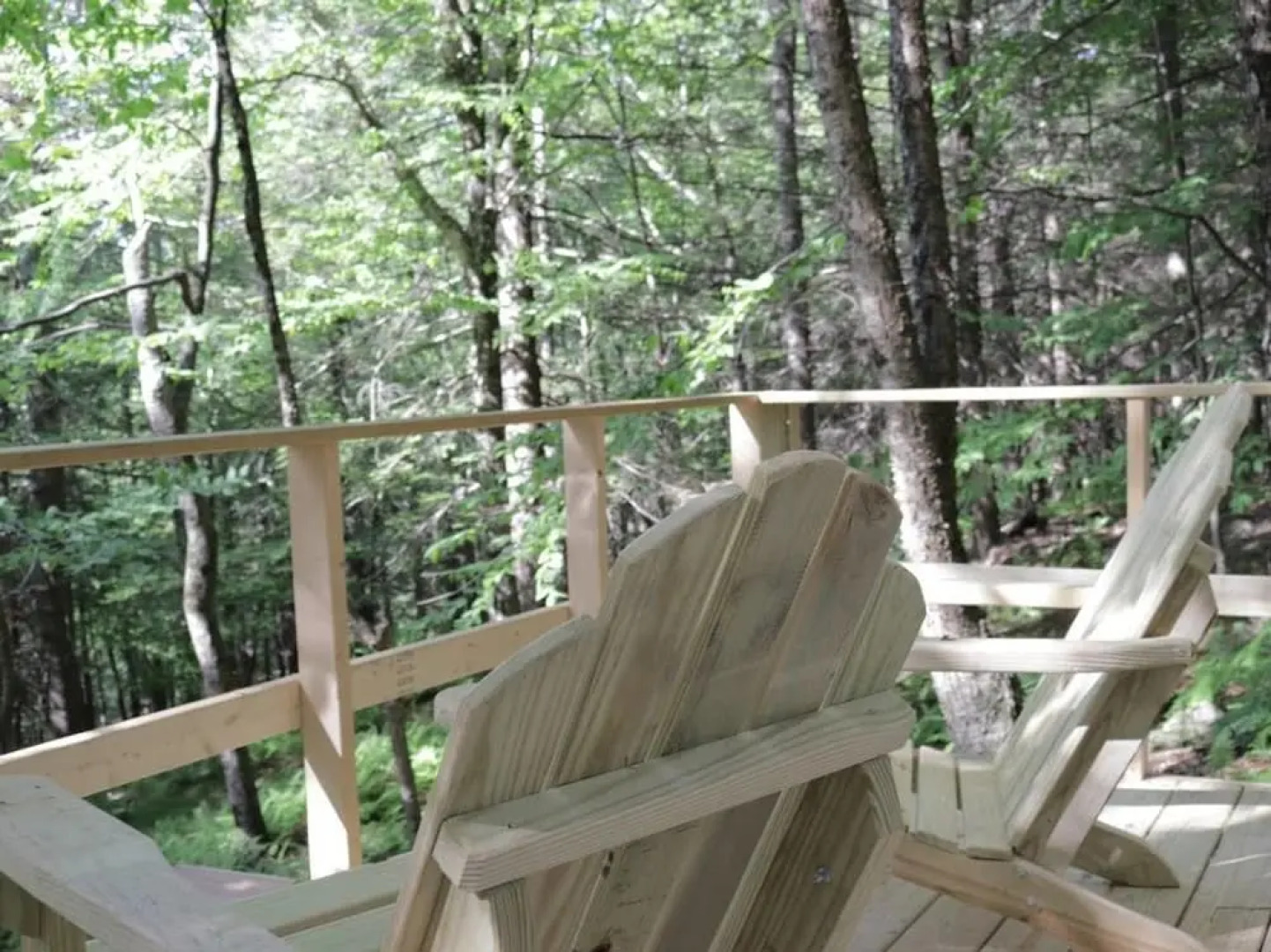 Tentrr - Birdwatcher