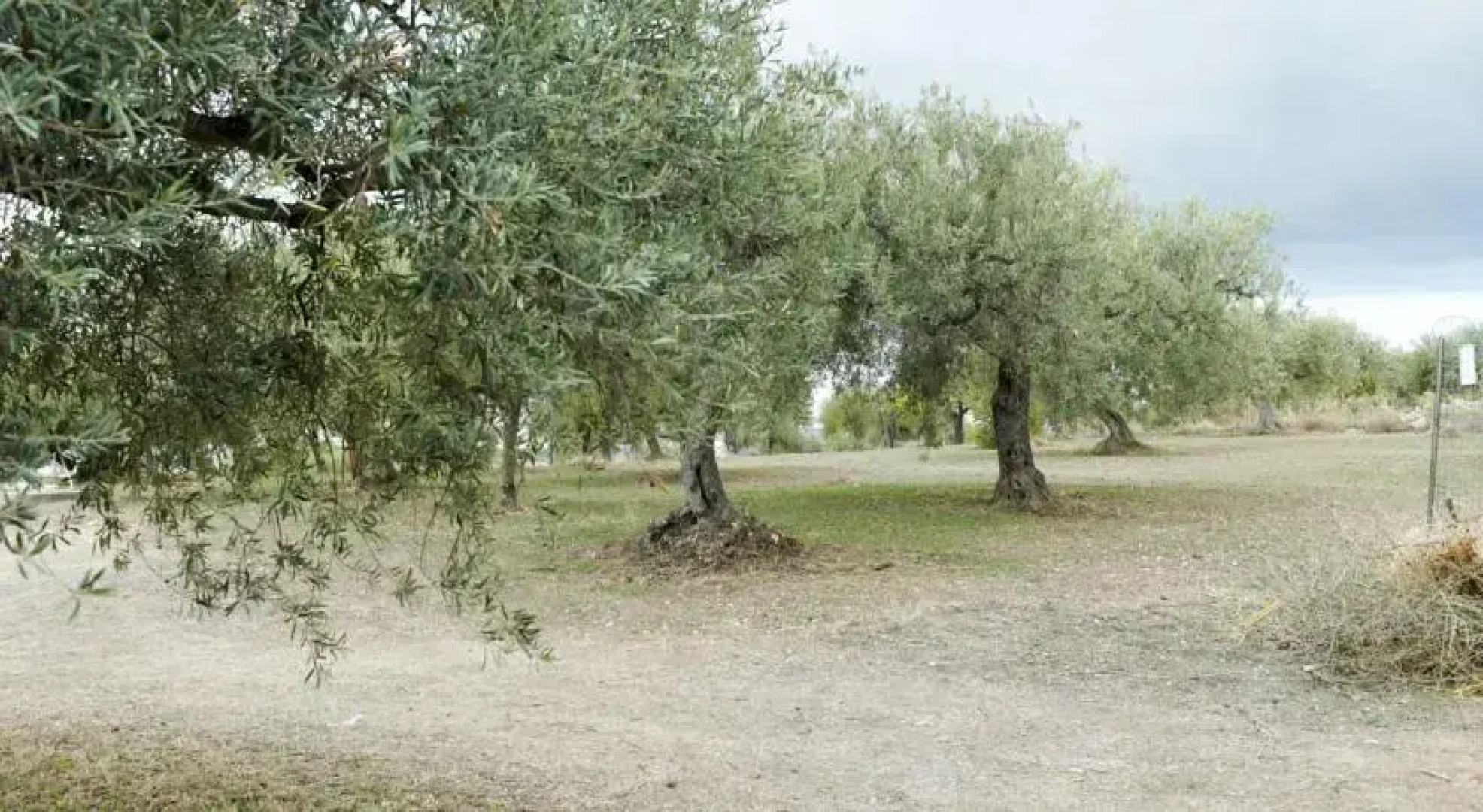 SerraBerretta Country House