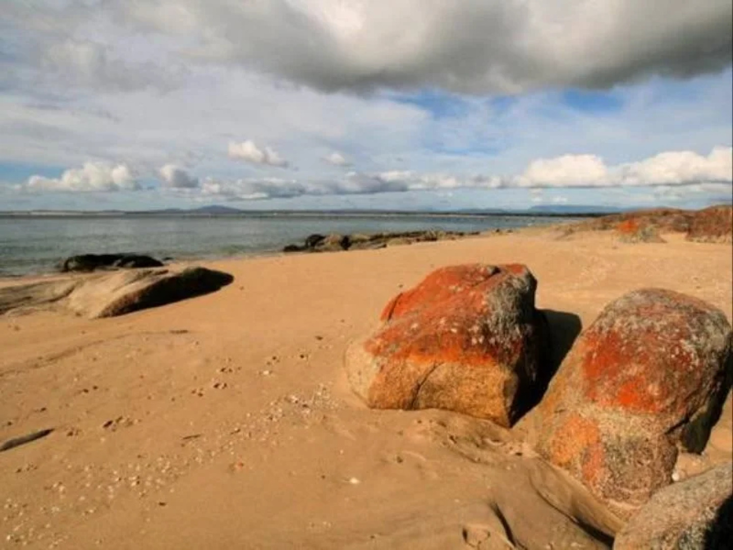 116 Westwood - Bridport Accommodation