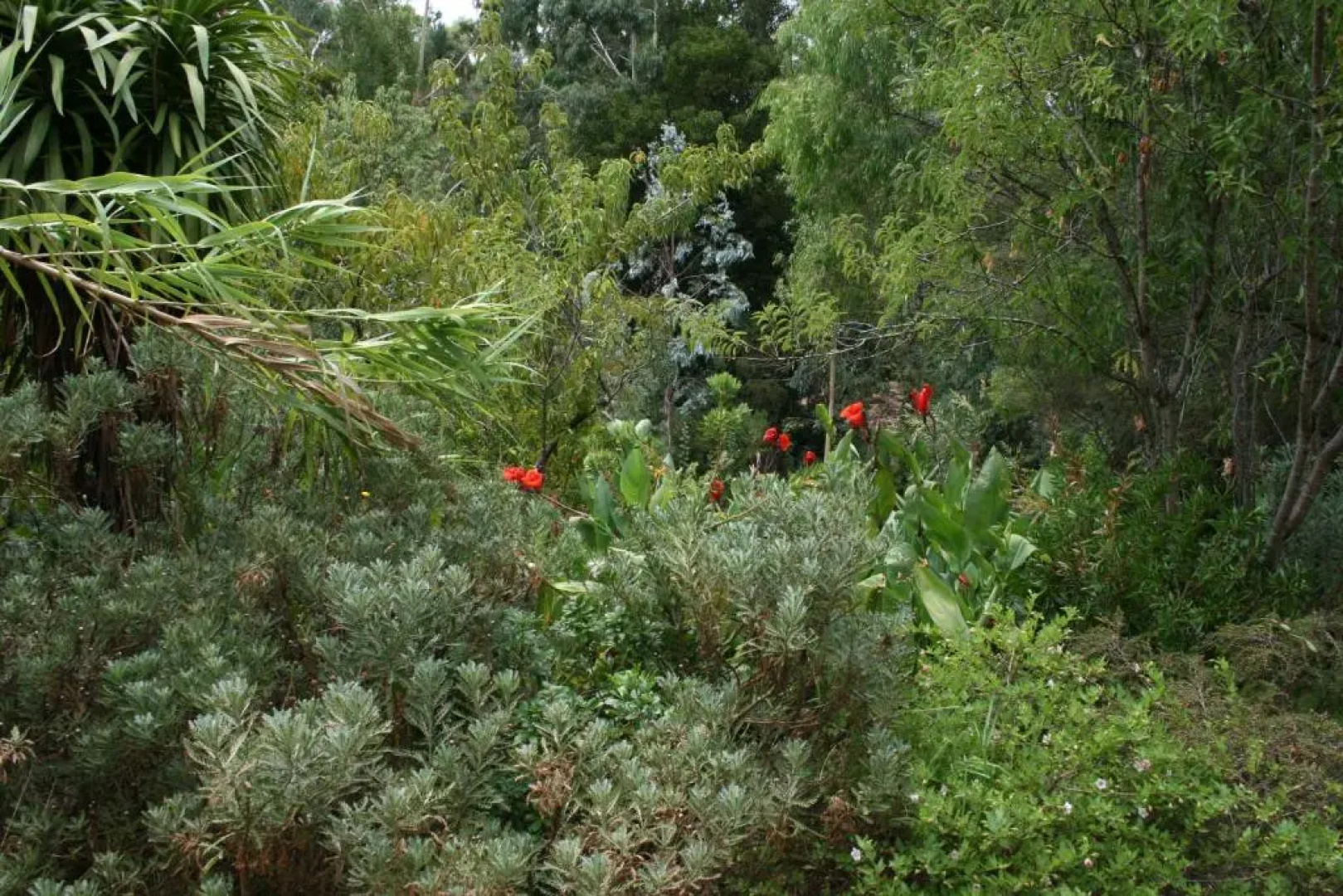 The Black Cockatoo Nannup