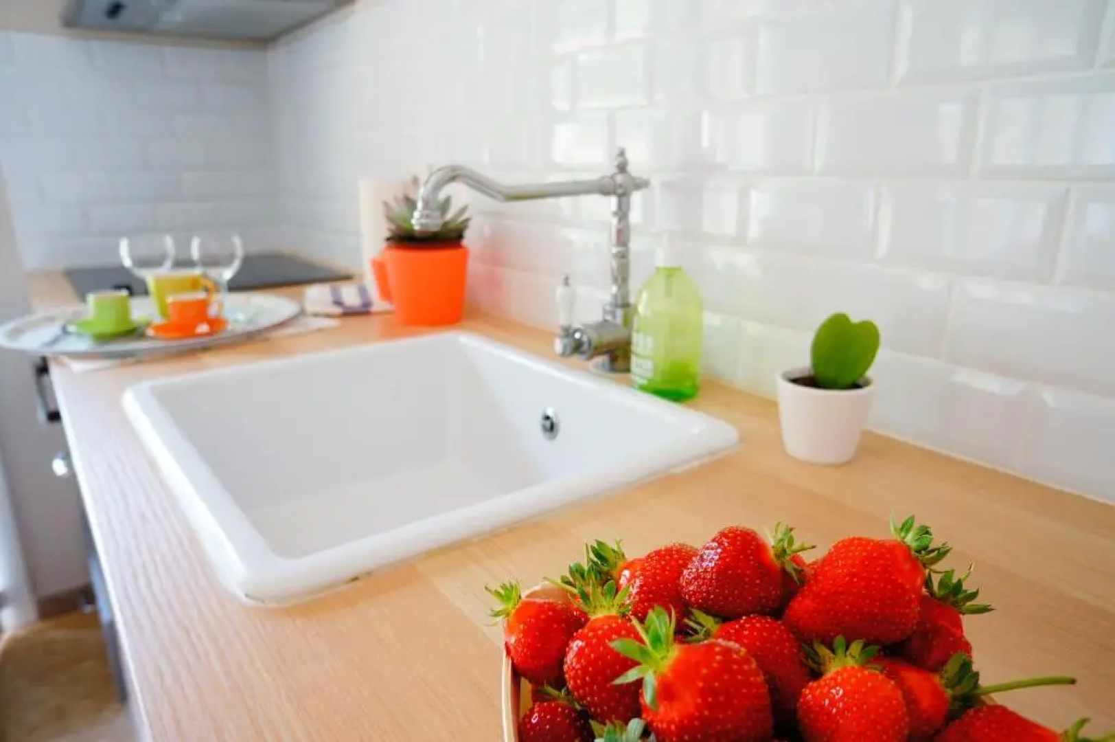 Le clos des oliviers