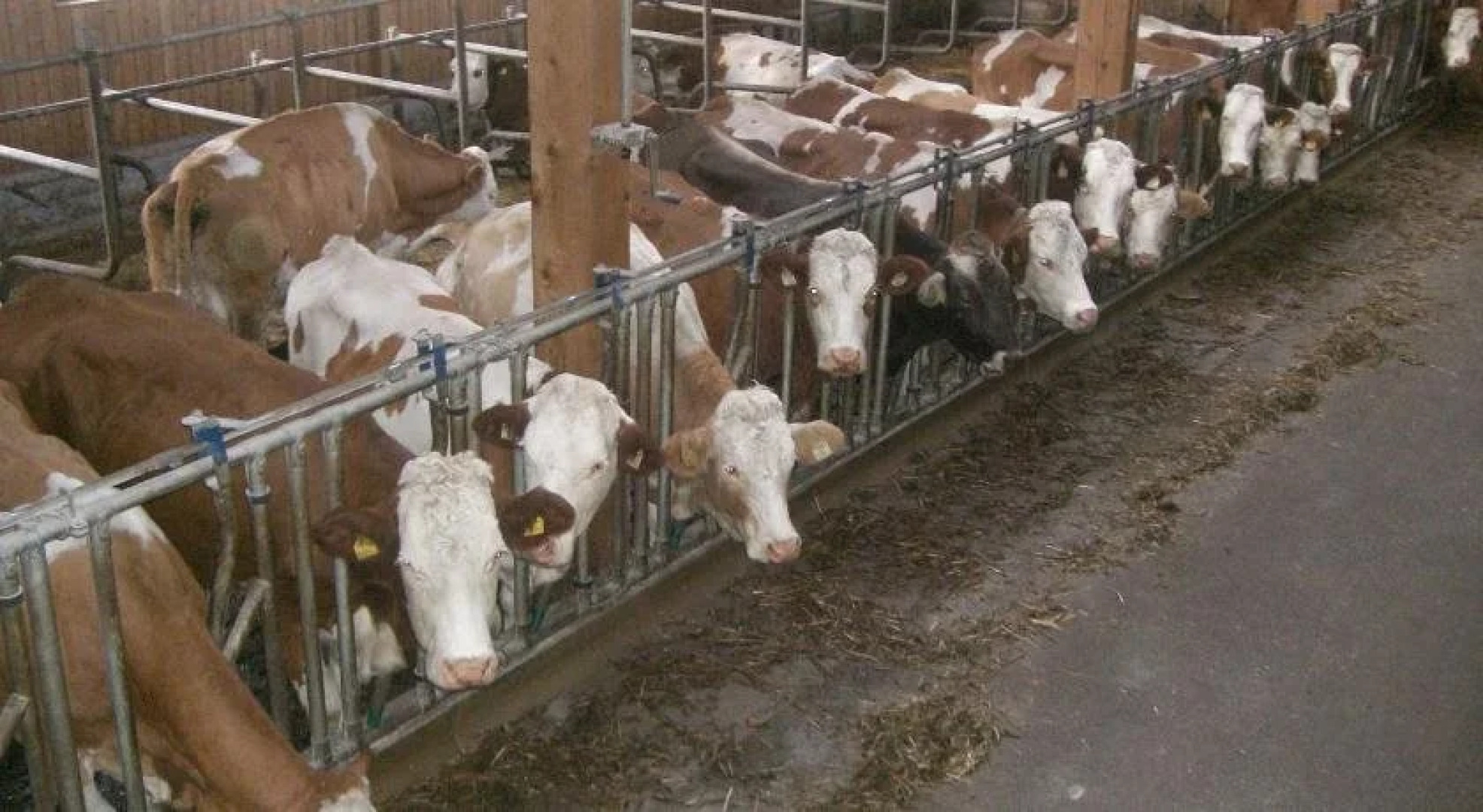 Apart Bauernhof Rosenhof