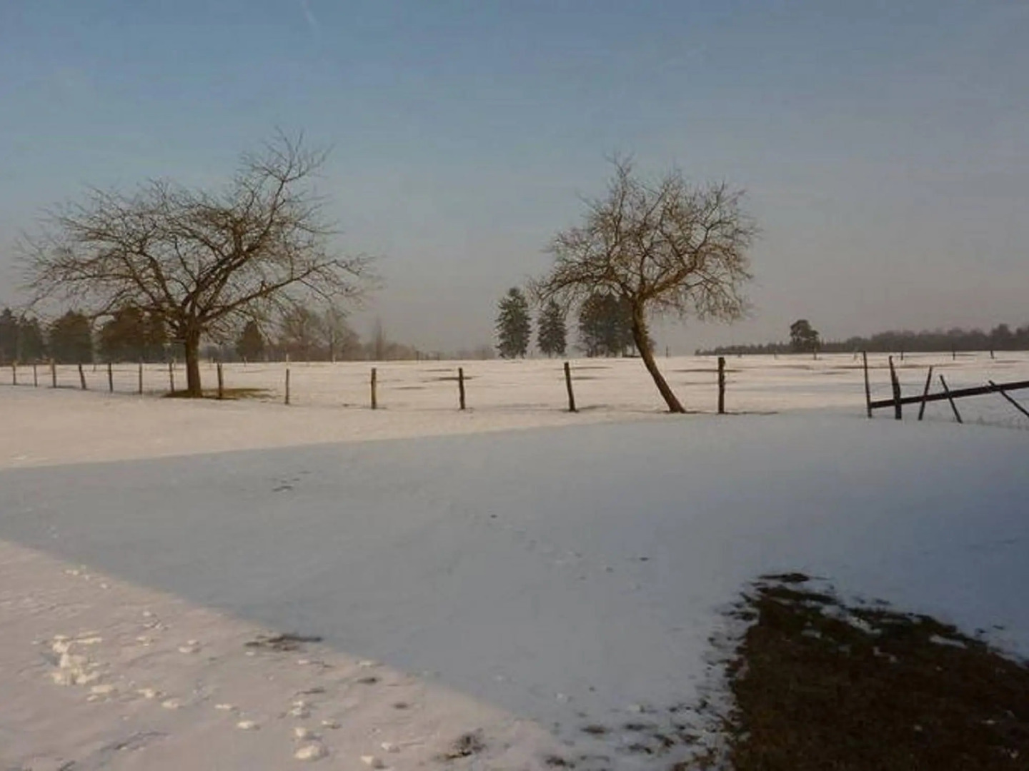 Cottage in Baugnez With Sauna & Forest Nearby