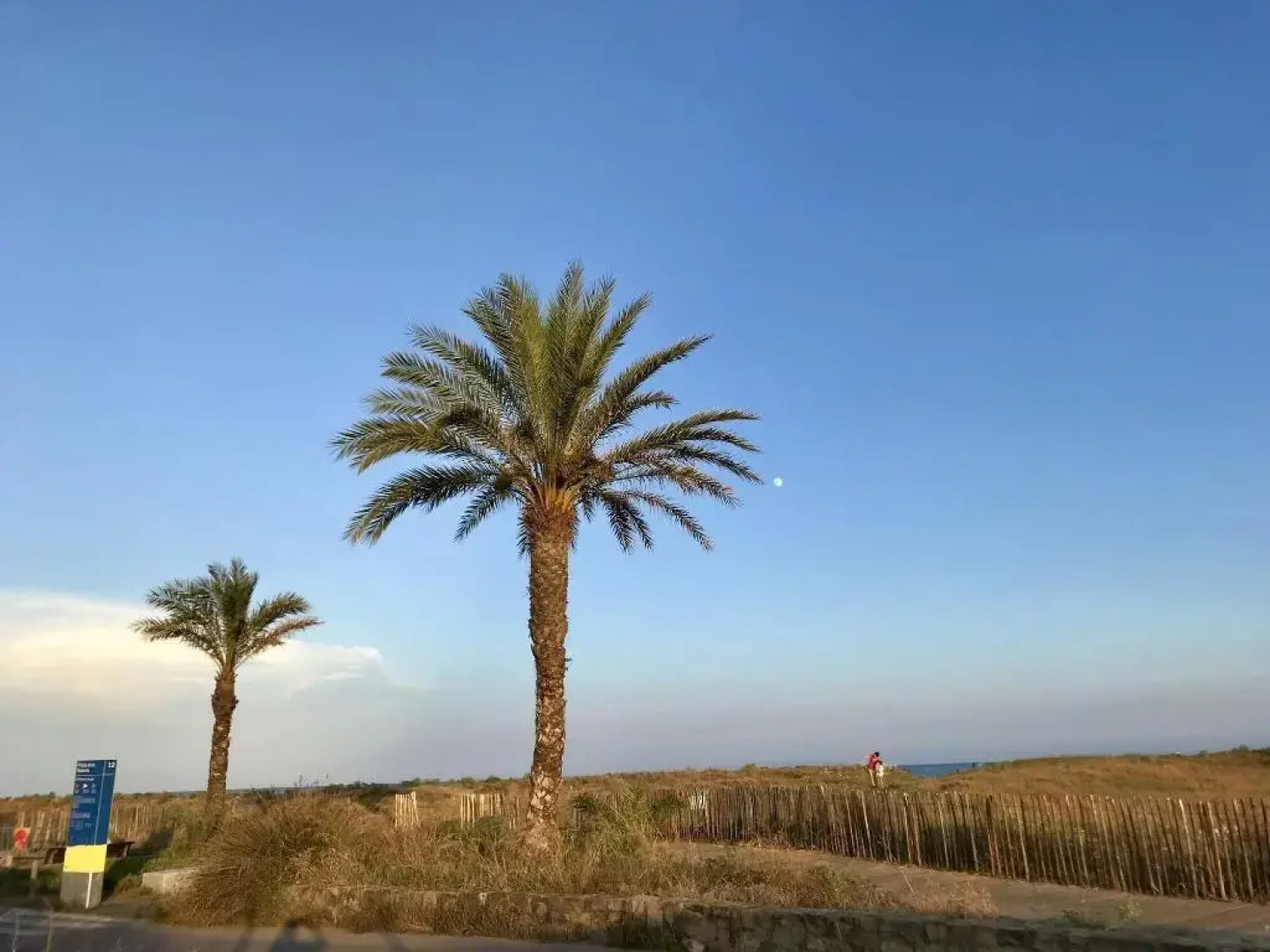 Mucha Masia Hostel Rural-Urbà