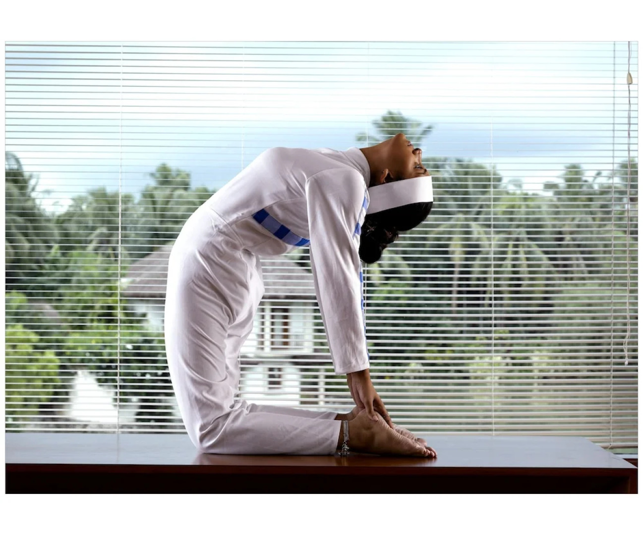 Vedic Village Spa Resort