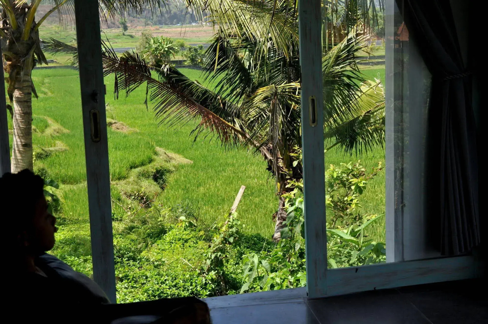 Dikaloha Medewi Surfcamp